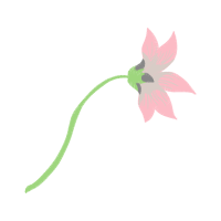 Flower Wedding Flower Wedding