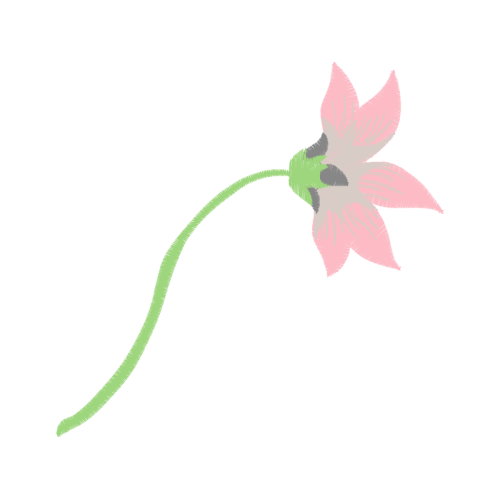 Flower Wedding Flower Wedding