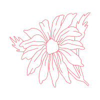 Flower Wedding Flower Wedding