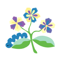 Flower Wedding Flower Wedding