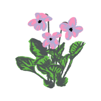 Flower Wedding Flower Wedding