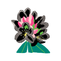 Flower Wedding Flower Wedding