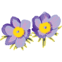 Flower Wedding Flower Wedding