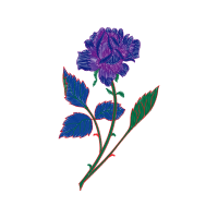 Flower Wedding Flower Wedding