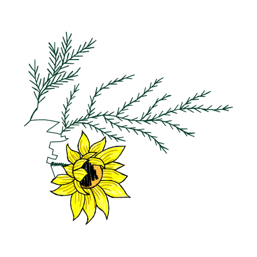 Flower Wedding Flower Wedding