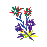 Flower Wedding Flower Wedding