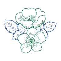 Flower Wedding Flower Wedding