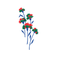 Flower Wedding Flower Wedding