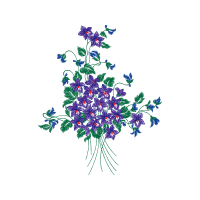 Flower Wedding Flower Wedding