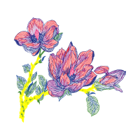 Flower Wedding Flower Wedding