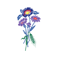 Flower Wedding Flower Wedding