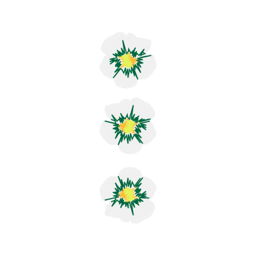 Flower Wedding Flower Wedding