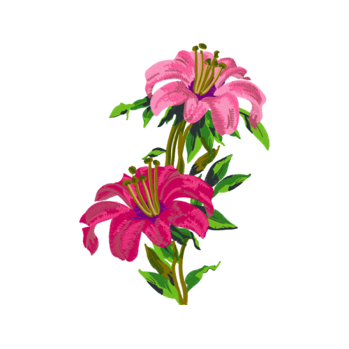 Flower Wedding Flower Wedding