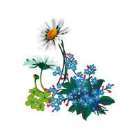 Flower Wedding Flower Wedding