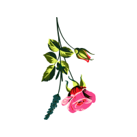 Flower Wedding Flower Wedding