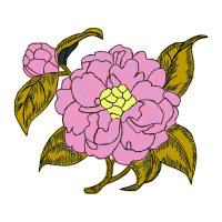 Flower Wedding Flower Wedding