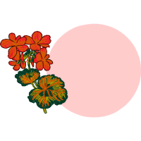 Flower Wedding Flower Wedding