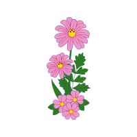 Flower Wedding Flower Wedding