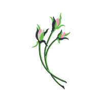 Flower Wedding Flower Wedding