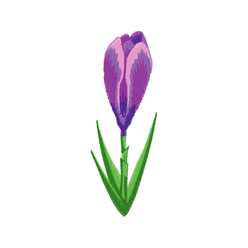 Flower Wedding Flower Wedding