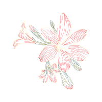 Flower Wedding Flower Wedding