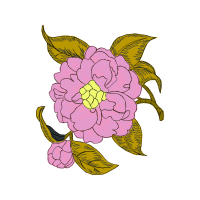 Flower Wedding Flower Wedding