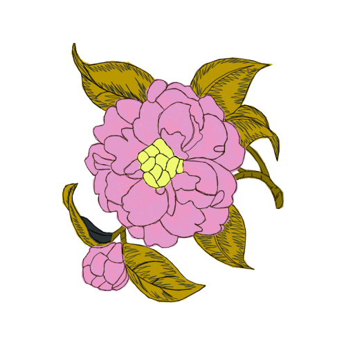 Flower Wedding Flower Wedding