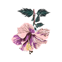 Flower Wedding Flower Wedding