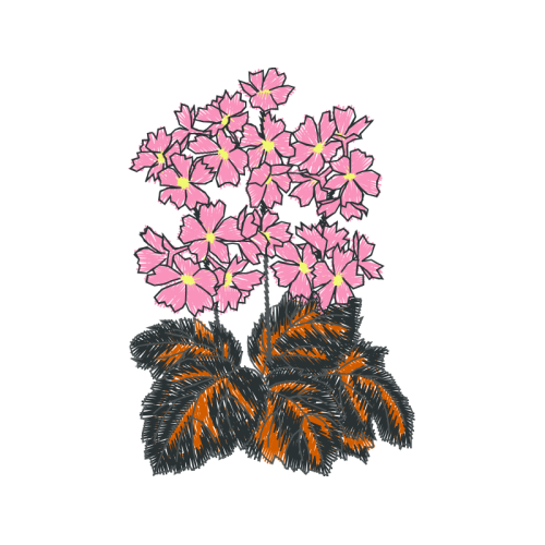 Flower Wedding Flower Wedding