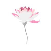 Flower Wedding Flower Wedding