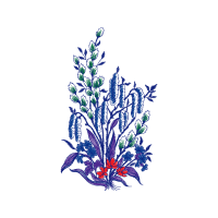 Flower Wedding Flower Wedding