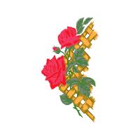 Flower Wedding Flower Wedding