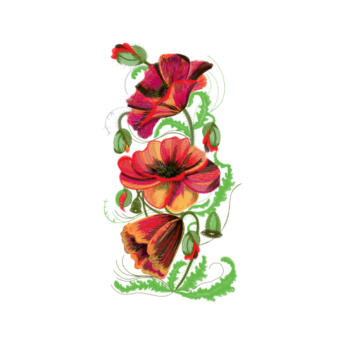 Flower Wedding Flower Wedding