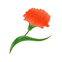 Flower Wedding Flower Wedding