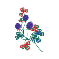 Flower Wedding Flower Wedding