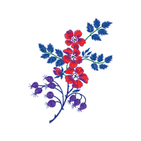 Flower Wedding Flower Wedding