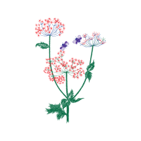 Flower Wedding Flower Wedding