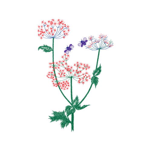 Flower Wedding Flower Wedding