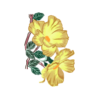 Flower Wedding Flower Wedding