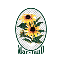 Flower Wedding Flower Wedding