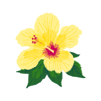 Flower Wedding Flower Wedding