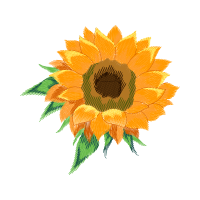 Flower Wedding Flower Wedding