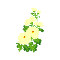 Flower Wedding Flower Wedding