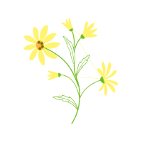 Flower Wedding Flower Wedding