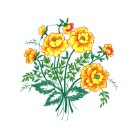 Flower Wedding Flower Wedding