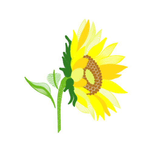 Flower Wedding Flower Wedding