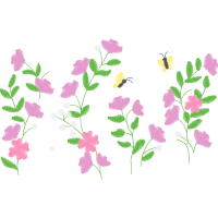 French Lavender Wedding