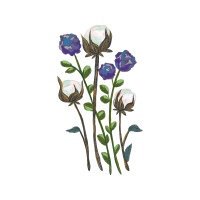 French Lavender Wedding