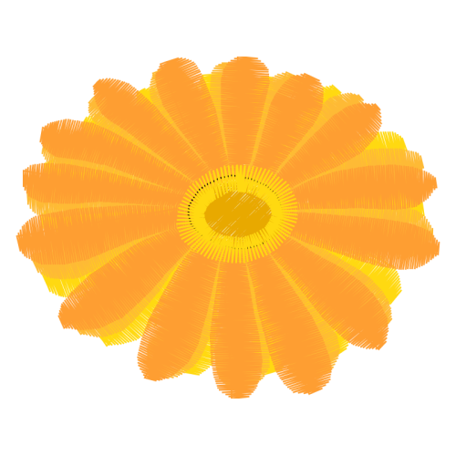 French Marigold Wedding French Marigold Wedding