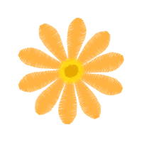 French Marigold Wedding French Marigold Wedding